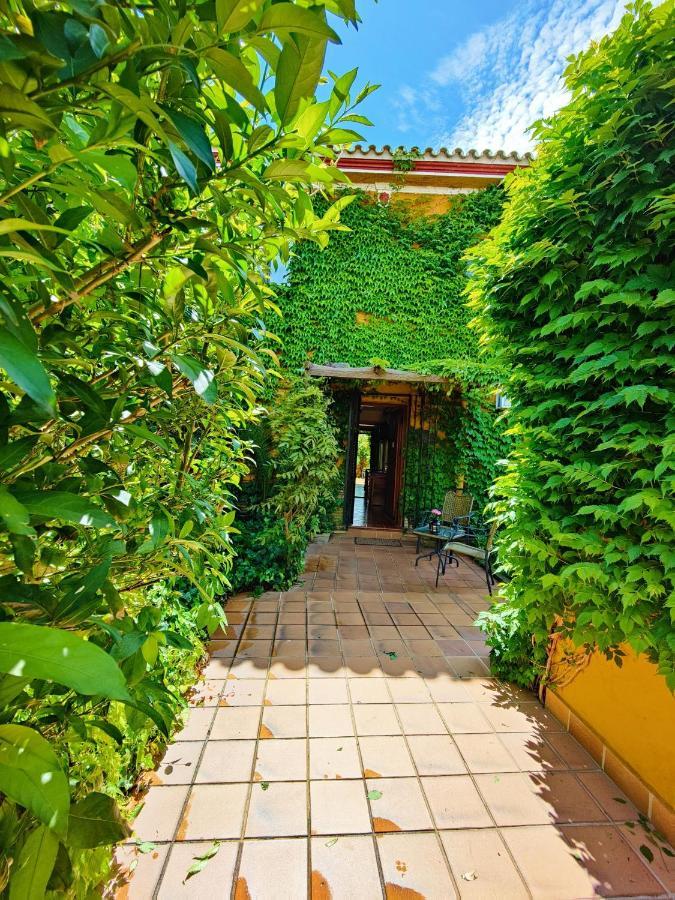 Hotel Donana Blues Matalascanas Exterior photo