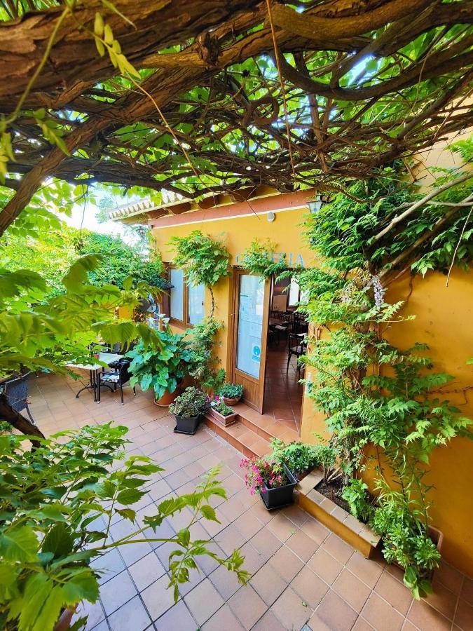 Hotel Donana Blues Matalascanas Exterior photo