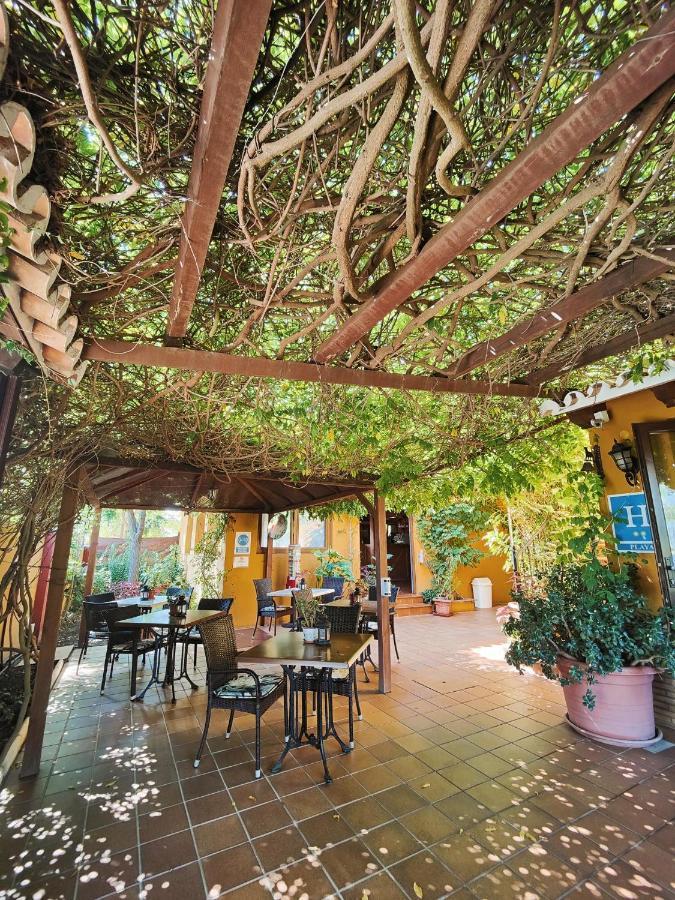 Hotel Donana Blues Matalascanas Exterior photo