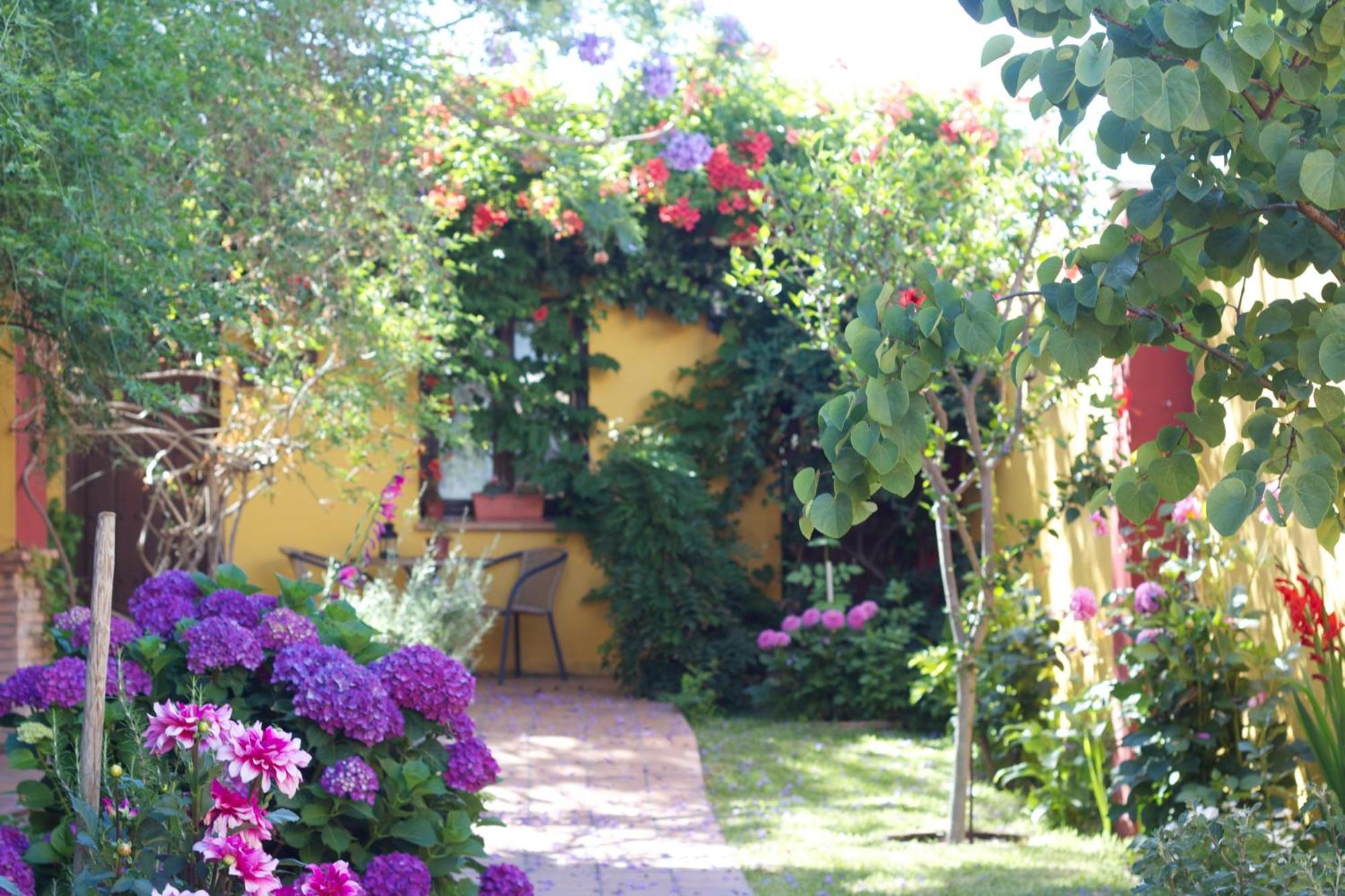 Hotel Donana Blues Matalascanas Exterior photo
