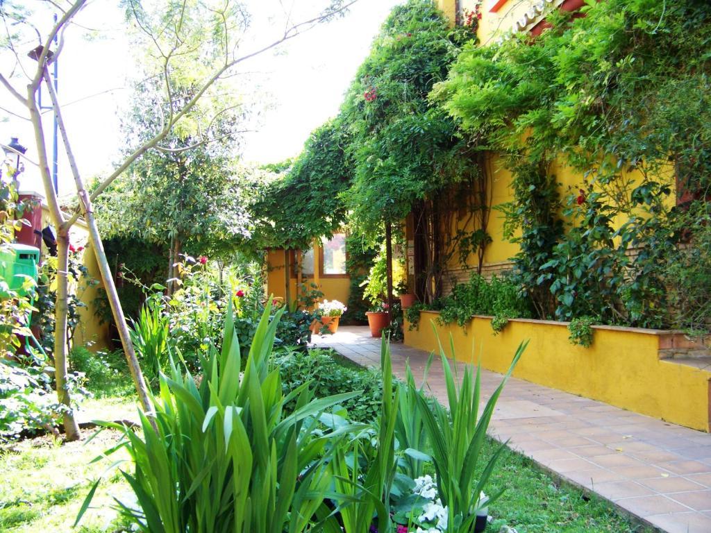 Hotel Donana Blues Matalascanas Exterior photo